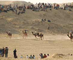 Jaisalmer Tourism Honeymoon